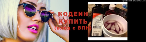 стафф Снежногорск