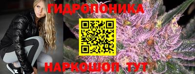 jwh Обь